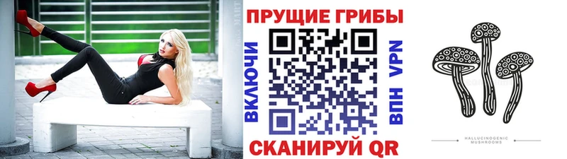 Купить  Троицк  Псилоцибиновые грибы ЛСД 